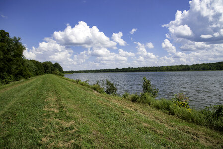 Lakeshore and grass landscape