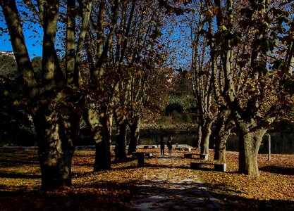 Alley autumn autumn season