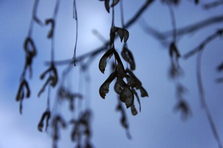 Old nature sky