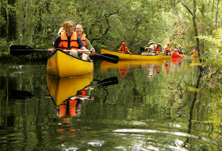 Aquatic trail of laughter and fun