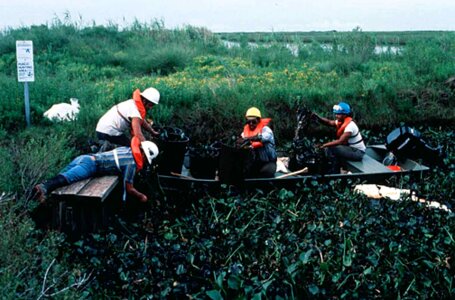 Habitat oil recovery