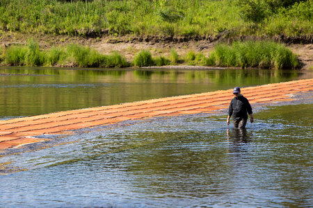 Biologist inspects fish weir-1