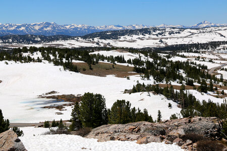 Snowy Winter Landscape in Montana