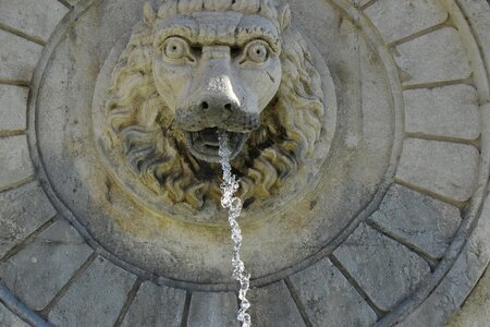 Fountain head lion photo
