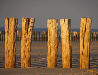 North sea netherlands sea photo