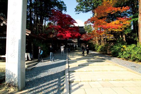 Kongobu-ji Temple, Mt. Koya photo