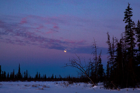 Moonset over the boreal forest of interior Alaska
