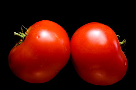 tomatoes photo