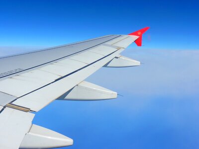 Wing flying sky