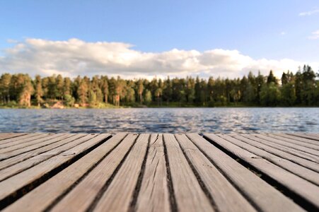 Forest lake landscape