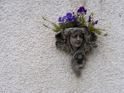 Flowers mauve gray wall photo