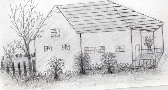 Hand drawn house with trees photo