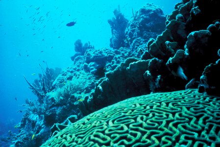Cliff photo underwater