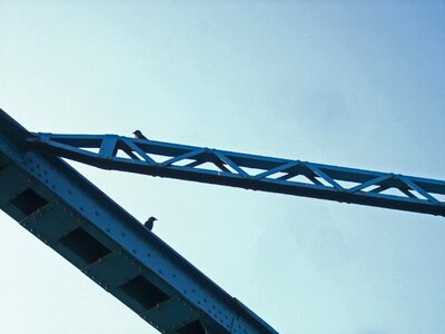 Steel blue dig