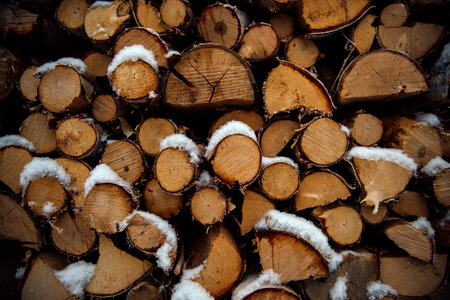 Stacked Logs of Firewood photo