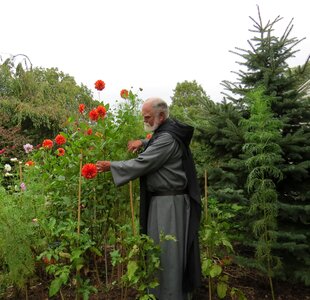 Monk priest late summer photo