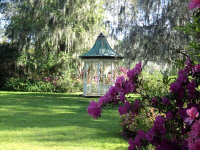 Landscaping scenic garden photo