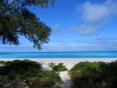 Sand Island Beach photo