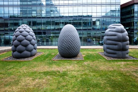 Fruits form stone
