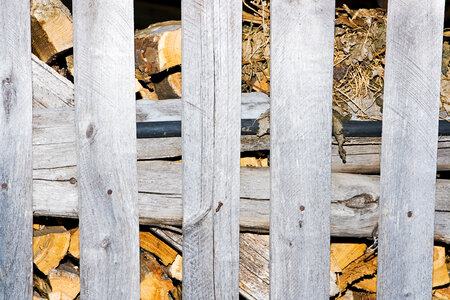 wood background