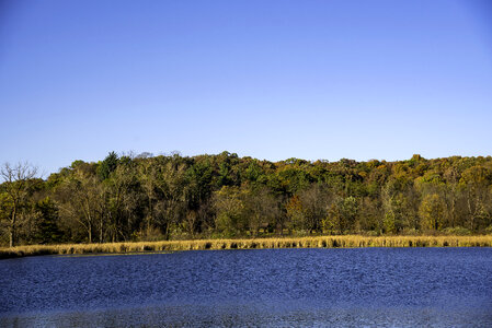 Trees on the lake view in the fall