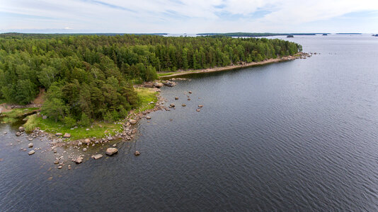 Aerial View of lake shoreline with forest photo