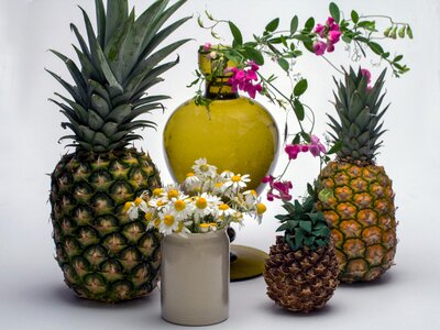 Pineapple flowers flower vase photo