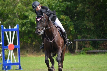 Horse tournament show jumping