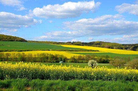 Nature sky meadow photo