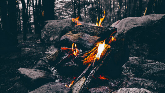 Campfire in the Forest photo