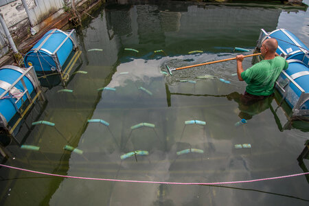 Floating mussel cages at state dock, Lake Cumberland-1