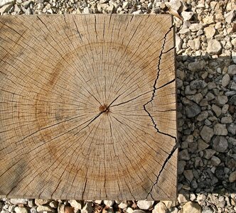 Log like square
