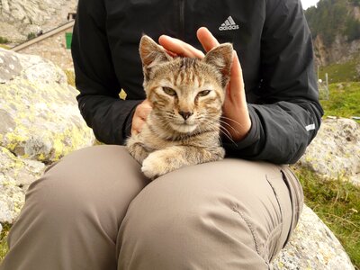 Relax purr enjoy