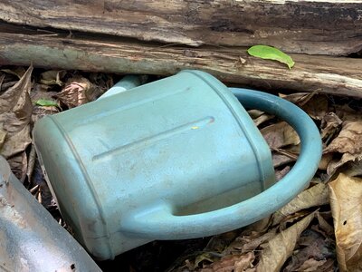 Nature watering can wood photo
