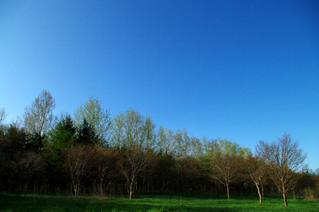 2 Maedashinrin Park 