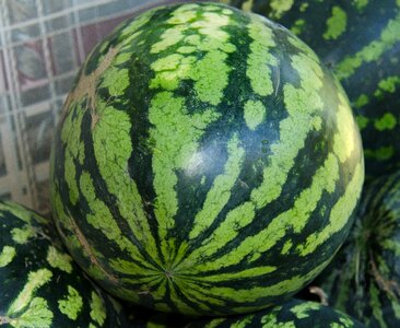 Green striped berry