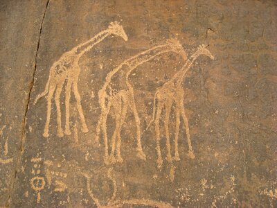 Ancient writing prehistory giraffes photo