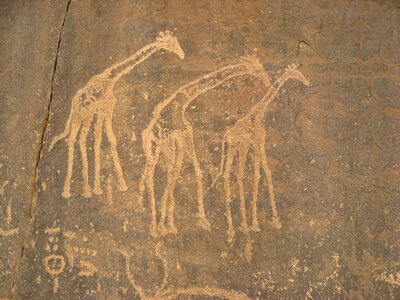 Ancient writing prehistory giraffes