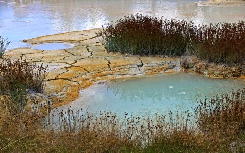 Yellowstone national park colorful nature photo