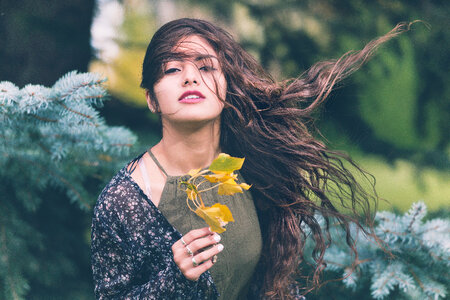 Attractive Girl with Long Blowing Hair in the Garden photo