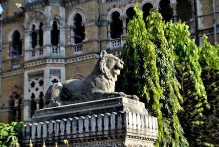 Lion Statue photo