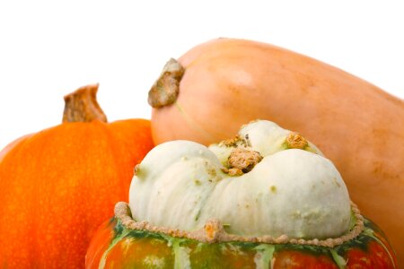 Crop fall food