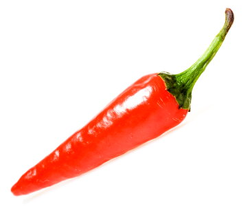 Red chilli pepper photo