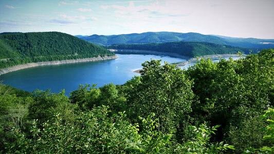 Forest, Trees, and lake landscape in Germany photo