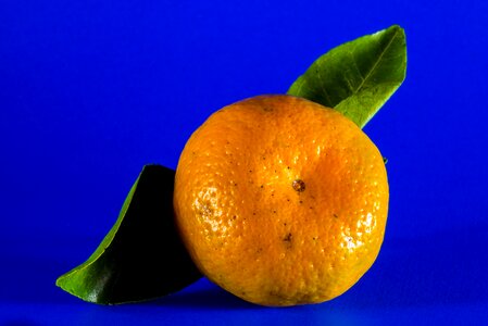 Orange mandarin citrus fruit