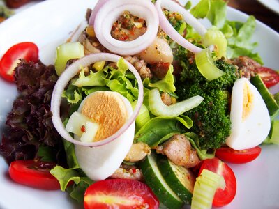 Healthy organic appetizer