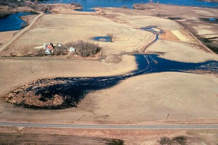 Campaign wetland 