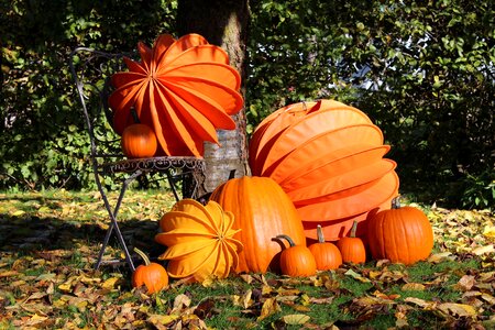 Pumpkins pumpkin autumn decoration