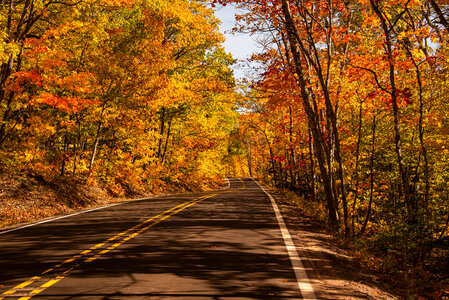 Autumn Forest corridor on the roadway photo