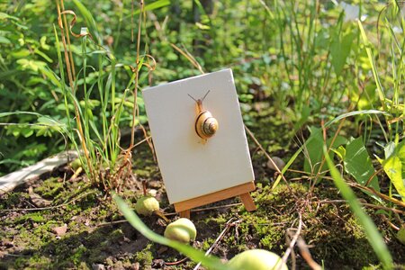 Summer easel crawl